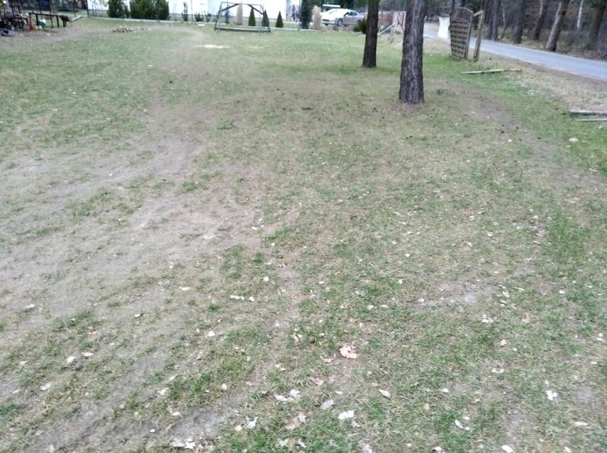 Działka przy lesie