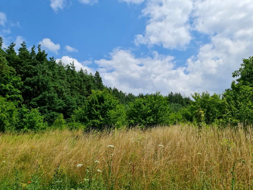 Działka budowlana Oleszno