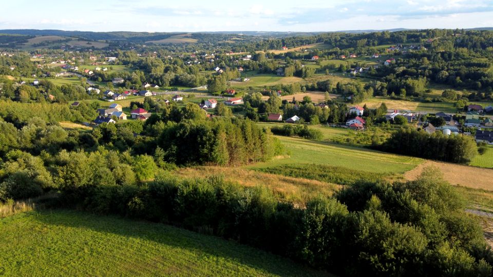 Zdjęcie 3