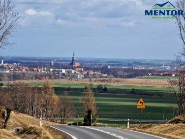 Lokal Świdnica