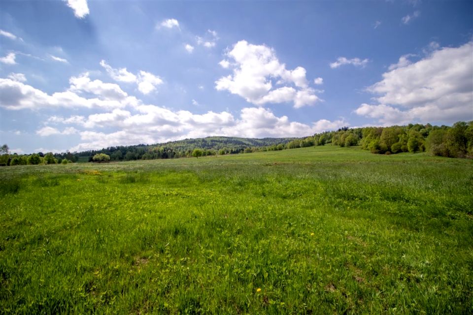 Działka budowlano-rolna Krzyżowa