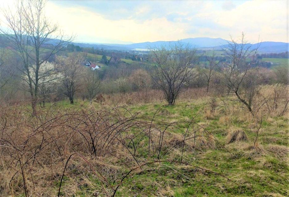 Działka budowlana Rychwałd