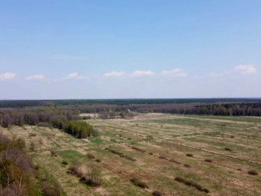 Działka rolno-leśna Jankowice