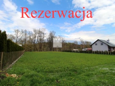 Działka Chołowice