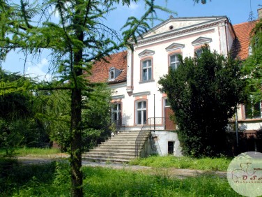 Dom Gulczewo sprzedaż