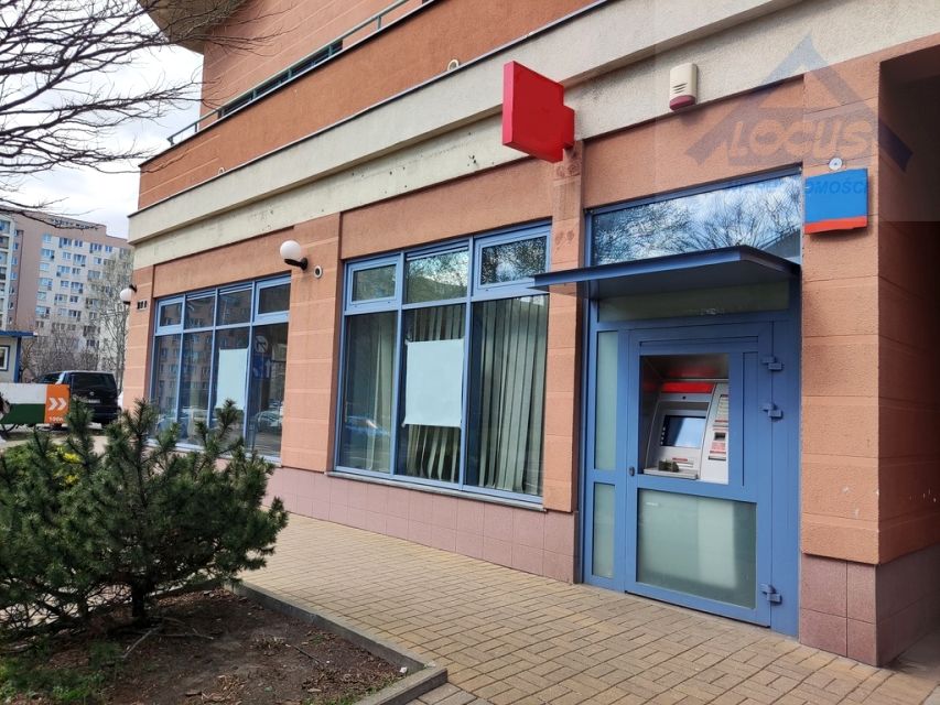 Lokal Warszawa