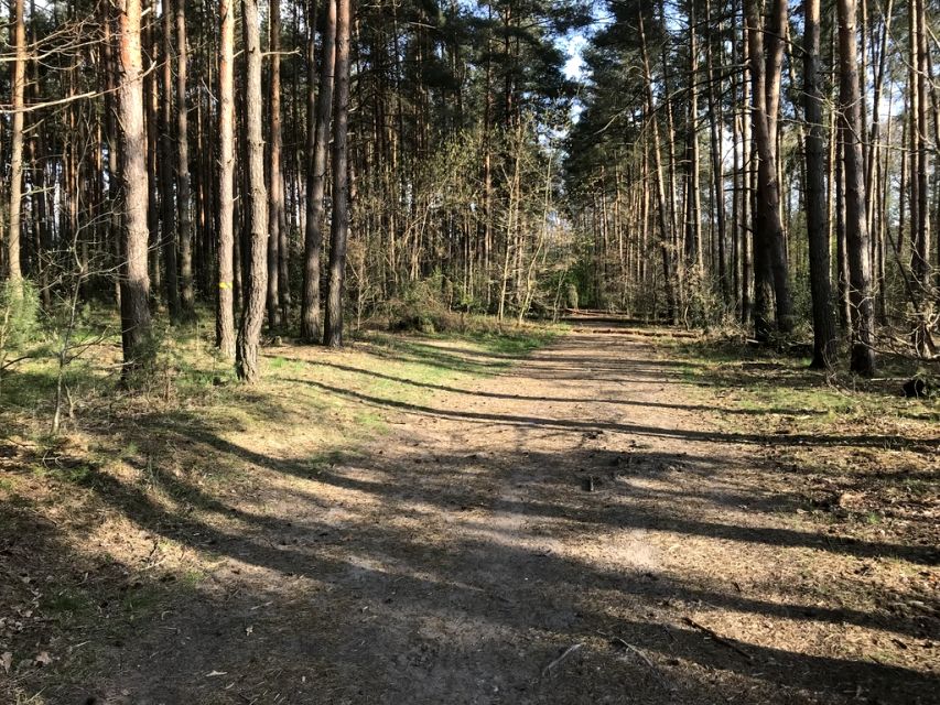 Działka przy lesie