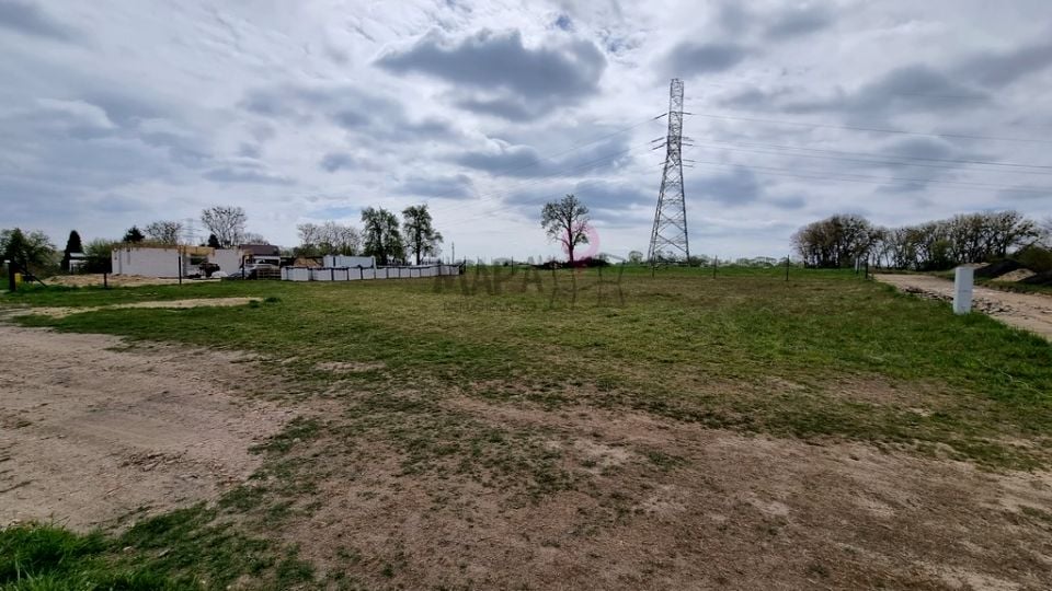 Zdjęcie 3