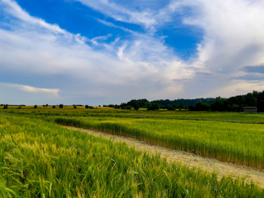 Działka budowlana sprzedam