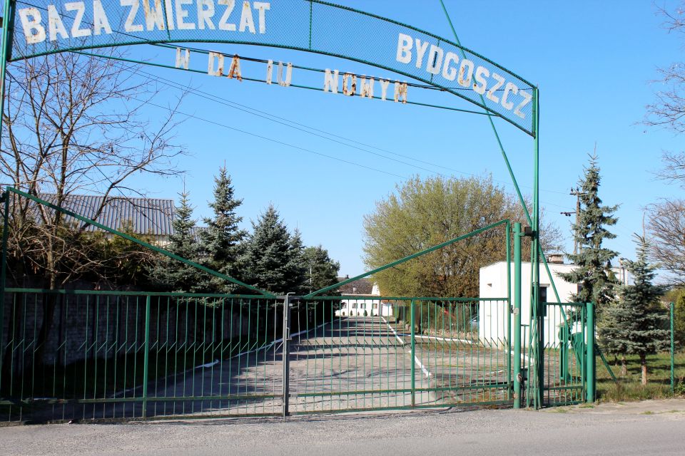 Budynek użytkowy Nowe Dąbie