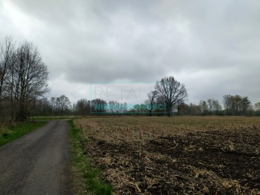 Działka Budy Zosine