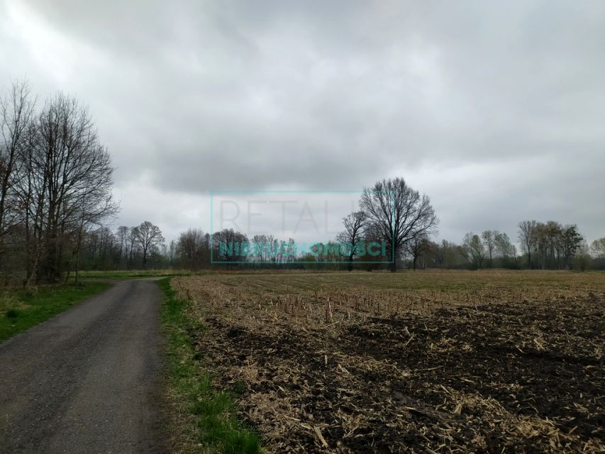 Działka Budy Zosine