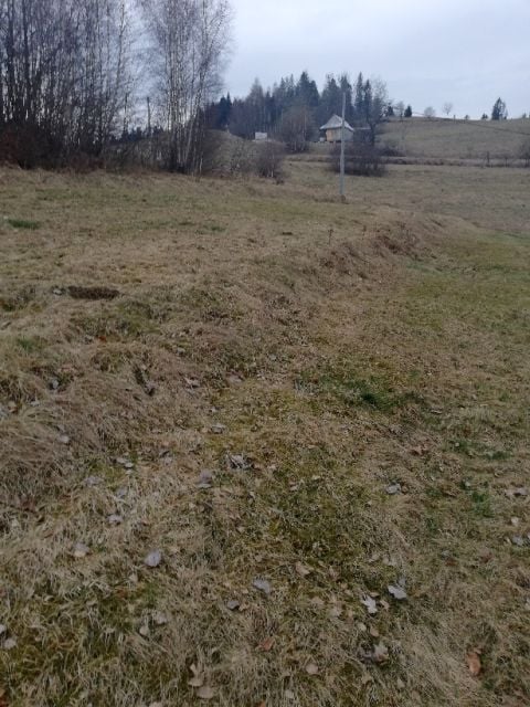 Zdjęcie 3