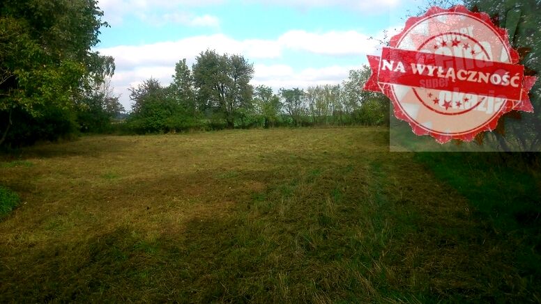 Działka nad jeziorem