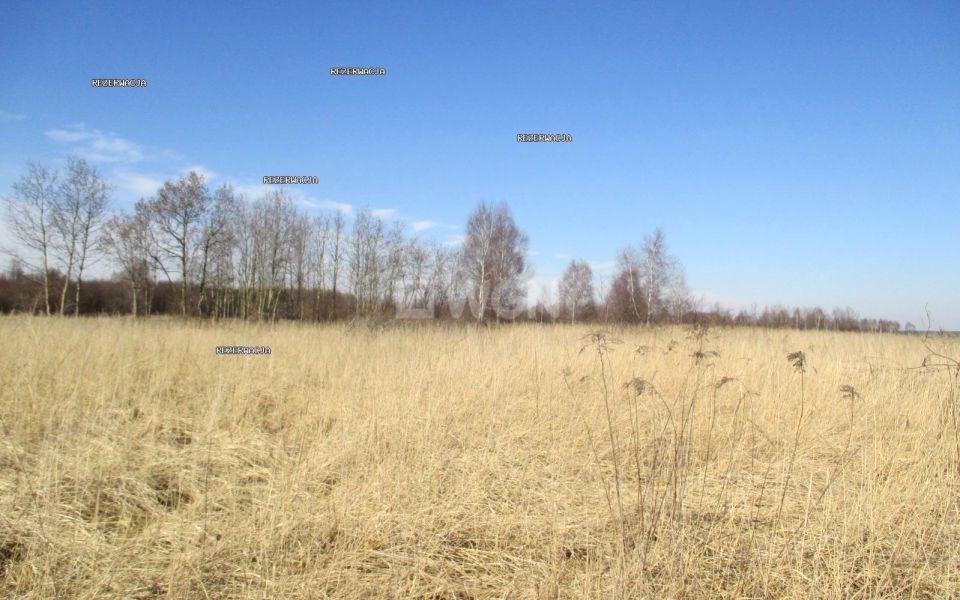 Działka Koziegłowy