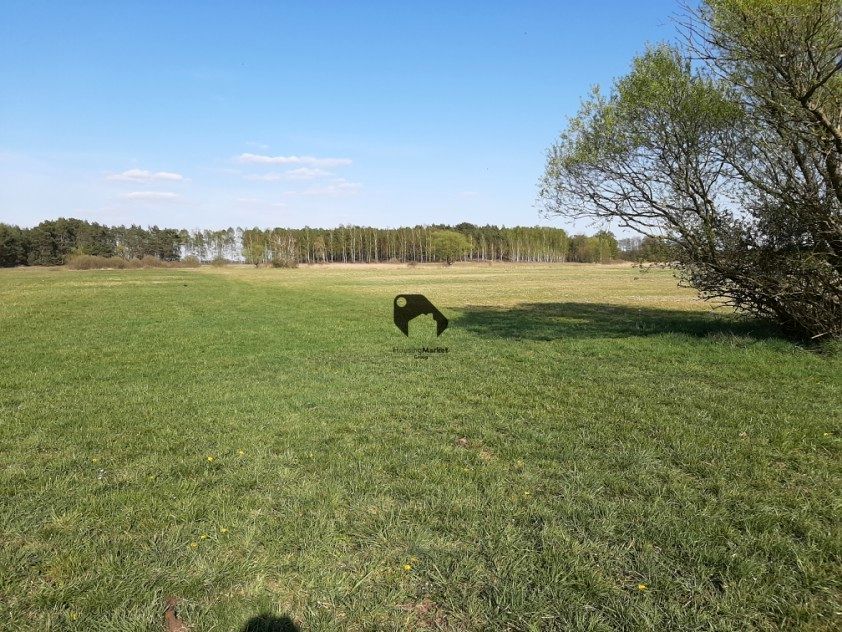 Działka budowlana Nowe Dąbie sprzedam