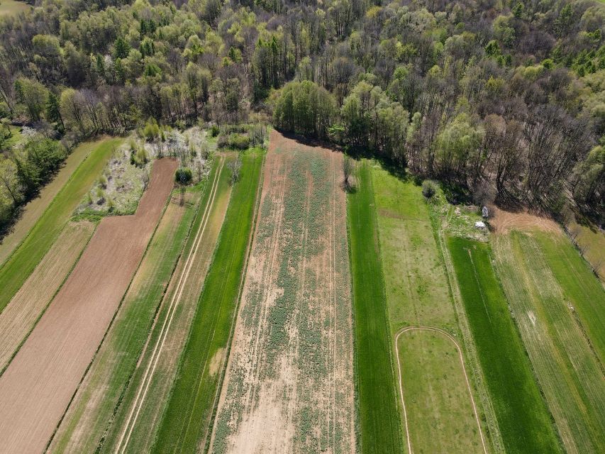 Działka Tarnowskie Góry