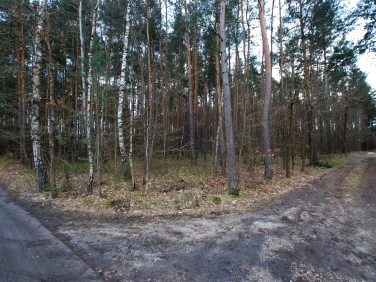 Działka leśna Daleszyce