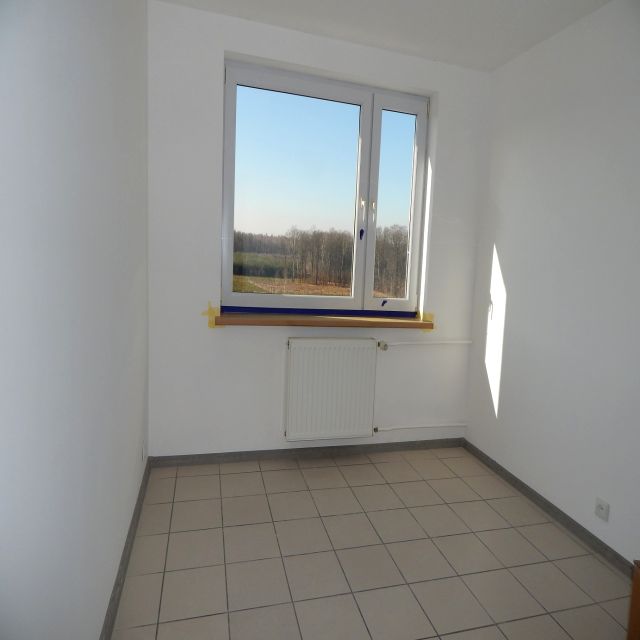 Zdjęcie 3