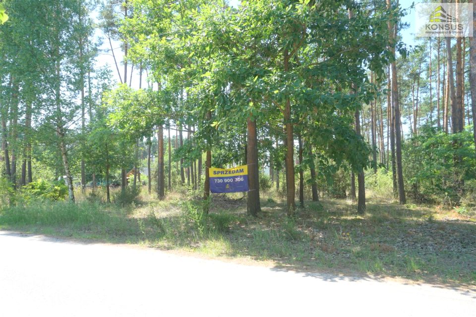 Działka Daleszyce
