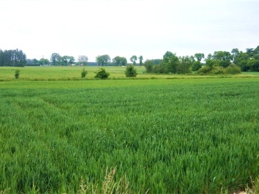 Działka rolna Tuszyn