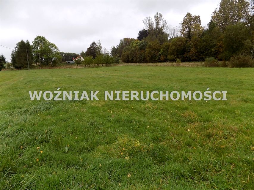 Zdjęcie 2