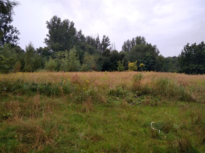Działka Bytom
