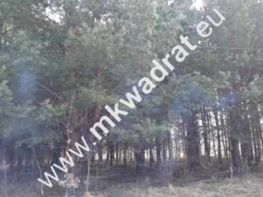 Działka budowlana sprzedam