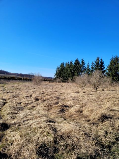 Działka Wielka Nieszawka