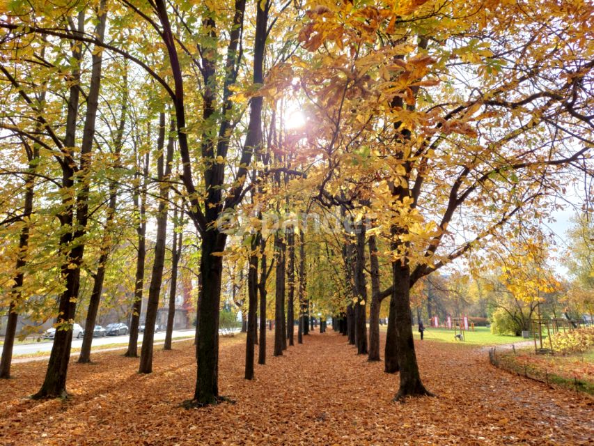 Mieszkanie Warszawa sprzedaż