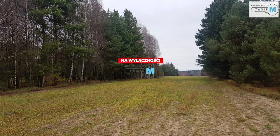 Działka rekreacyjna Końskie