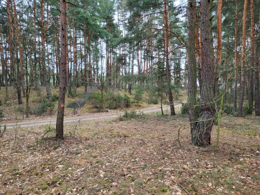 Działka rolno-budowlana przy lesie Pasek