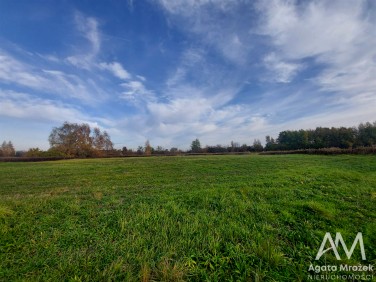 Działka Kamieniec Wrocławski