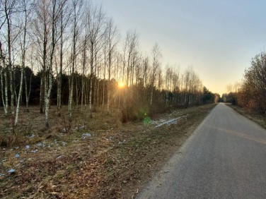 Działka leśna Goszczyce Poświętne