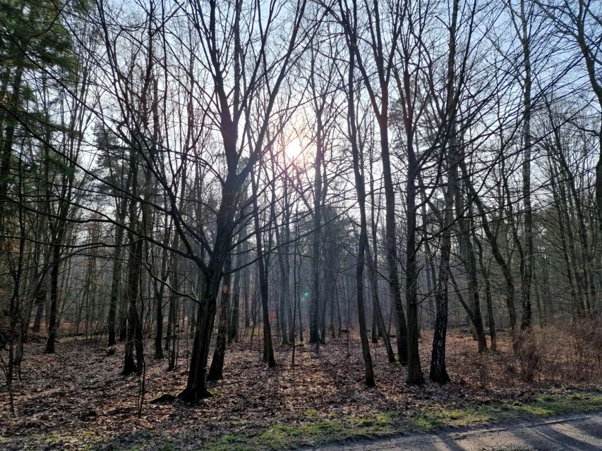 Działka budowlana Kwiatkowice