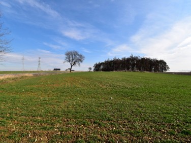 Działka budowlana Kijany