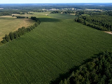 Działka Koźla