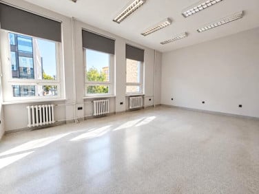 Lokal Opole