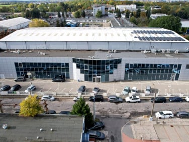 Lokal Poznań