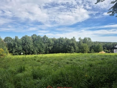 Działka budowlana Stary Wiśnicz