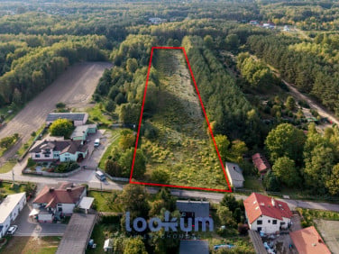 Działka rolna Pogorzałe Ługi