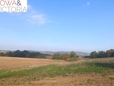 Działka budowlana Stare Bogaczowice