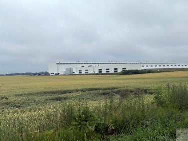 Działka Bytyń