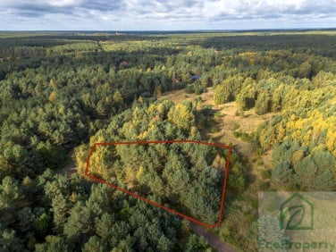 Działka KARCZEWKO