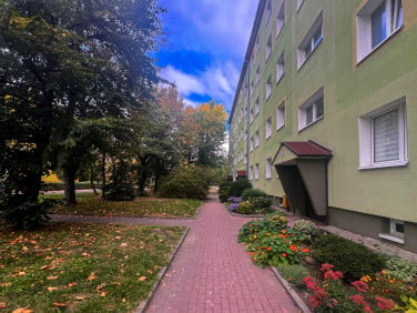 Mieszkanie Świdnica