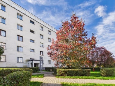 Mieszkanie Siemianowice Śląskie