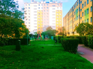 Mieszkanie Kielce sprzedaż
