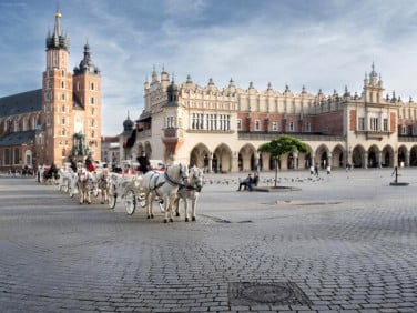 Lokal Kraków