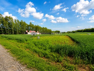 Działka budowlana Bodzanów