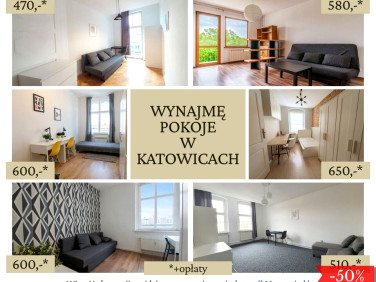 Mieszkanie Katowice wynajem
